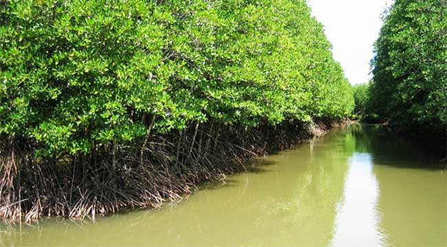 Lancement d’un projet de protection de l’environnement littoral dans le delta du Mékong
